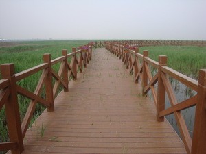 圖片名